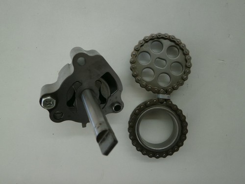 Oil pump with gears and - oil, chain
